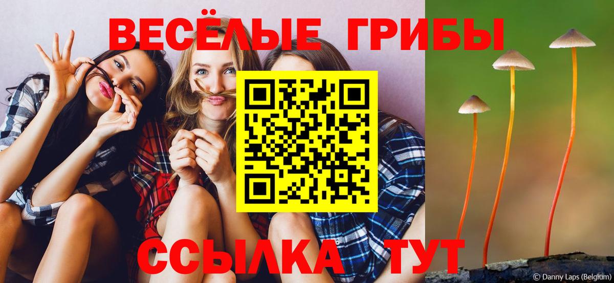 наркотики  Вход с VPN  Севастополь  Псилоцибиновые грибы ЛСД 